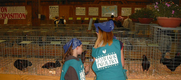 JuniorPoultry.jpg